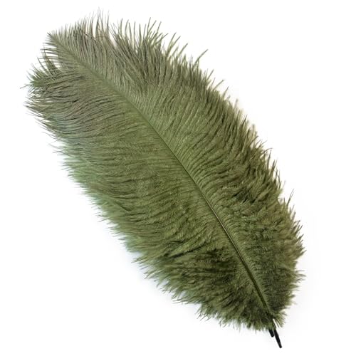 BDXMKS Straußenfeder 10 Stück farbige Straußenfedern for Basteln, Hochzeitsdekoration, DIY, Urlaub, Karneval, Hochzeit, Großzubehör, 15-40 cm(Deep Green,15-20CM) von BDXMKS