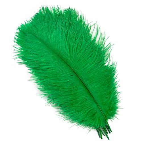 BDXMKS Straußenfeder 10 Stück farbige Straußenfedern for Basteln, Hochzeitsdekoration, DIY, Urlaub, Karneval, Hochzeit, Großzubehör, 15-40 cm(Grass Green,30-35CM) von BDXMKS
