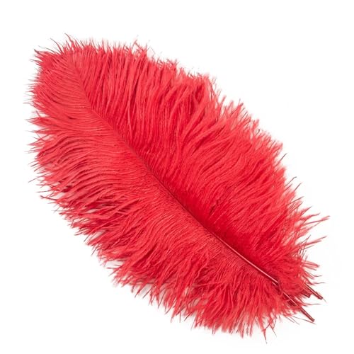 BDXMKS Straußenfeder 10 Stück farbige Straußenfedern for Basteln, Hochzeitsdekoration, DIY, Urlaub, Karneval, Hochzeit, Großzubehör, 15-40 cm(Red,35-40CM) von BDXMKS