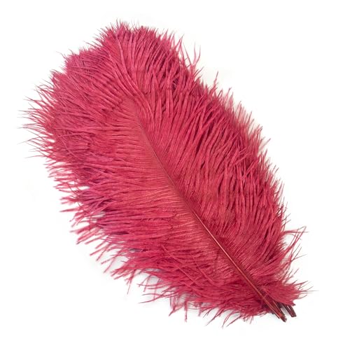 BDXMKS Straußenfeder 10 Stück farbige Straußenfedern for Basteln, Hochzeitsdekoration, DIY, Urlaub, Karneval, Hochzeit, Großzubehör, 15-40 cm(Red Wine,35-40CM) von BDXMKS