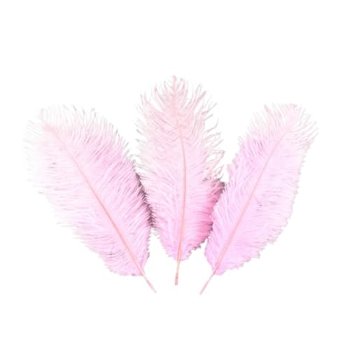 BDXMKS Straußenfeder 10 Stück gefärbte, Flauschige, weiche Straußenfedern for Basteln, Basteln, Handarbeiten, Federn for die Schmuckherstellung, Kleid, Hochzeitsdekoration, 25–30 cm(Pink Feathers) BDXMKS Straußenfeder 10 Stück gefärbte, Flauschige, weiche Straußenfedern for Basteln, Basteln, Handarbeiten, Federn for die Schmuckherstellung, Kleid, Hochzeitsdekoration, 25–30 cm(Pink Feathers) von BDXMKS