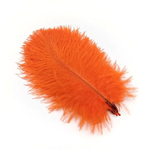 BDXMKS Straußenfeder 10 Stücke Straußenfedern Plumes DIY Schmuckherstellung Hochzeit Dekoration Basteln Zubehör Handarbeiten Plumas Tischdekoration(Orange Feathers,10pcs 20.25cm) von BDXMKS