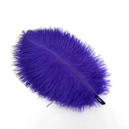 BDXMKS Straußenfeder 10 Stücke Straußenfedern Plumes DIY Schmuckherstellung Hochzeit Dekoration Basteln Zubehör Handarbeiten Plumas Tischdekoration(Purple Feathers,10pcs 15.20cm) von BDXMKS
