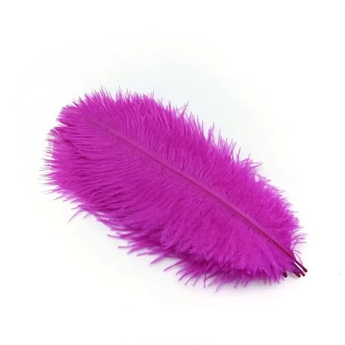 BDXMKS Straußenfeder 10 Stücke Straußenfedern Plumes DIY Schmuckherstellung Hochzeit Dekoration Basteln Zubehör Handarbeiten Plumas Tischdekoration(Rose Red Feathers,10pcs 15.20cm) von BDXMKS