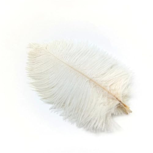 BDXMKS Straußenfeder 10 Stücke Straußenfedern Plumes DIY Schmuckherstellung Hochzeit Dekoration Basteln Zubehör Handarbeiten Plumas Tischdekoration(White Feathers,10pcs 25.30cm) von BDXMKS