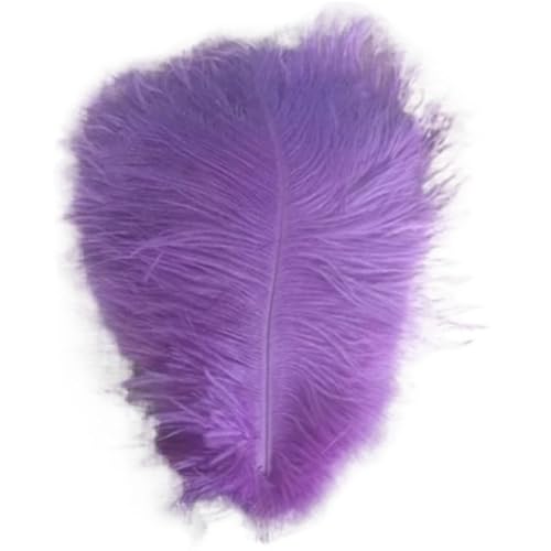 BDXMKS Straußenfeder 10 stücke 10-12 Zoll Flauschigen Weichen Straußen Federn Reine Feder for Handwerk Straußen Federn Hochzeit Party Dekoration(Light Purple) von BDXMKS