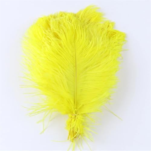 BDXMKS Straußenfeder 10 stücke Bunte Straußenfedern Handwerk 6-16 "15-40 cm Party Hochzeit Zubehör Dekoration Straußenfedern Dekoration(Color-09,25-30CM) von BDXMKS