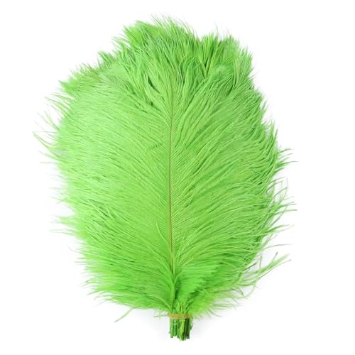 BDXMKS Straußenfeder 10 stücke Bunte Straußenfedern Handwerk 6-16 "15-40 cm Party Hochzeit Zubehör Dekoration Straußenfedern Dekoration(Color-10,30-35CM) von BDXMKS