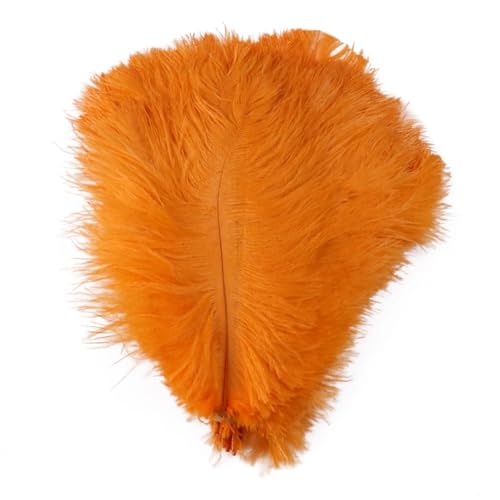 BDXMKS Straußenfeder 10 stücke Bunte Straußenfedern Handwerk 6-16 "15-40 cm Party Hochzeit Zubehör Dekoration Straußenfedern Dekoration(Color-11,30-35CM) von BDXMKS