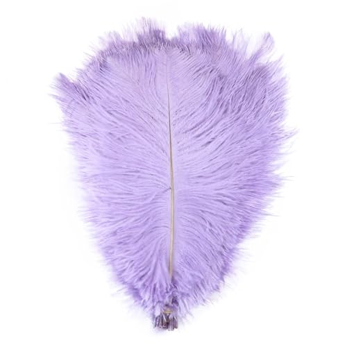 BDXMKS Straußenfeder 10 stücke Bunte Straußenfedern Handwerk 6-16 "15-40 cm Party Hochzeit Zubehör Dekoration Straußenfedern Dekoration(Color-21,30-35CM) von BDXMKS