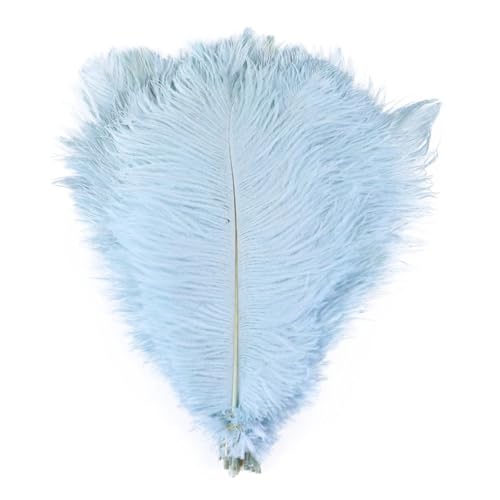 BDXMKS Straußenfeder 10 stücke Bunte Straußenfedern Handwerk 6-16 "15-40 cm Party Hochzeit Zubehör Dekoration Straußenfedern Dekoration(Color-27,15-20CM) von BDXMKS
