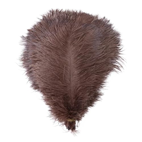 BDXMKS Straußenfeder 10 stücke Bunte Straußenfedern Handwerk 6-16 "15-40 cm Party Hochzeit Zubehör Dekoration Straußenfedern Dekoration(Color-29,20-25CM) von BDXMKS