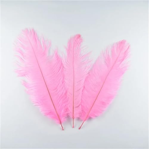 BDXMKS Straußenfeder 10 stücke Straußenfedern for Handwerk DIY Schmuck Machen Hochzeit Party Kleidung Dekoration Handarbeiten Zubehör Plumes 35-40cm(Pink Feathers) von BDXMKS