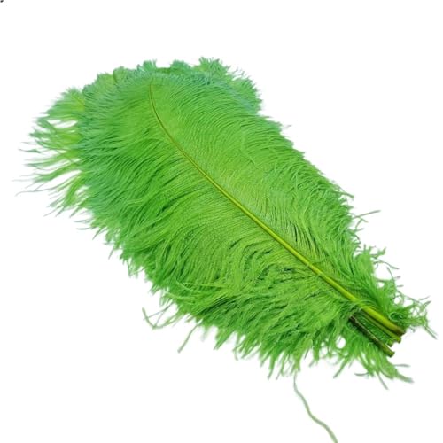 BDXMKS Straußenfeder 10Pcs Straußen Federn for Handwerk Hochzeit Decor Handwerk Zubehör Tisch Mittelstücke Karneval Weihnachten(Green,25-30cm 10-12inch) von BDXMKS