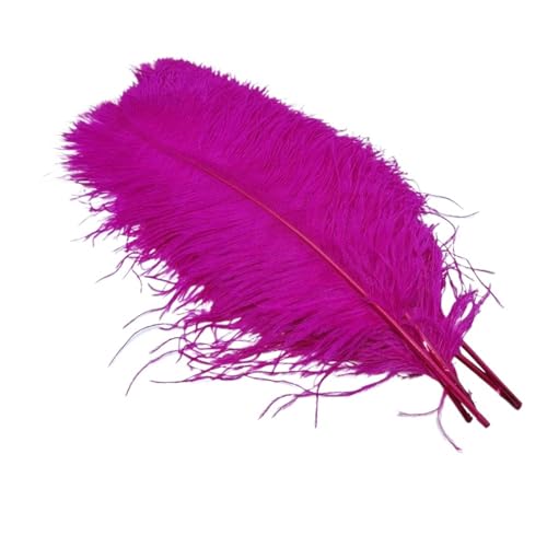 BDXMKS Straußenfeder 10Pcs Straußen Federn for Handwerk Hochzeit Decor Handwerk Zubehör Tisch Mittelstücke Karneval Weihnachten(Rose,25-30cm 10-12inch) von BDXMKS