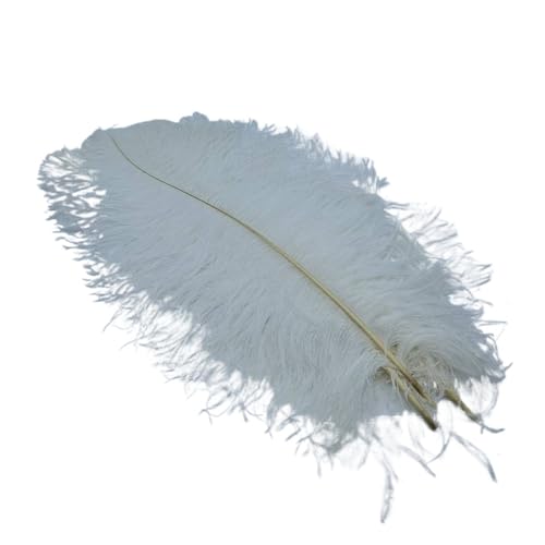 BDXMKS Straußenfeder 10Pcs Straußen Federn for Handwerk Hochzeit Decor Handwerk Zubehör Tisch Mittelstücke Karneval Weihnachten(White,15-20cm 6-8inch) von BDXMKS