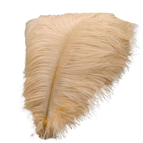 BDXMKS Straußenfeder 50 Stücke Weiße Straußenfedern for Handwerk 35-60CM Karneval Kostüme Party Hause Hochzeit Dekorationen Plumes(Champagne,35-40cm 14-16inch) von BDXMKS