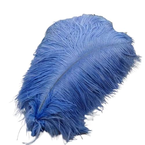 BDXMKS Straußenfeder 50 Stücke Weiße Straußenfedern for Handwerk 35-60CM Karneval Kostüme Party Hause Hochzeit Dekorationen Plumes(Light Blue,55-60cm 22-24inch) von BDXMKS
