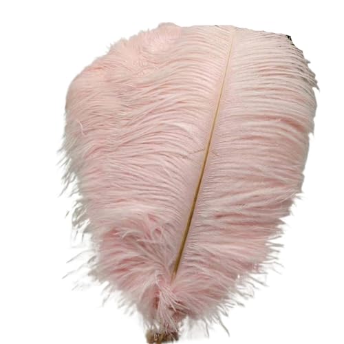 BDXMKS Straußenfeder 50 Stücke Weiße Straußenfedern for Handwerk 35-60CM Karneval Kostüme Party Hause Hochzeit Dekorationen Plumes(Light pink,35-40cm 14-16inch) von BDXMKS