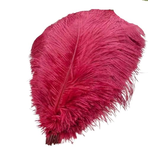 BDXMKS Straußenfeder 50 Stücke Weiße Straußenfedern for Handwerk 35-60CM Karneval Kostüme Party Hause Hochzeit Dekorationen Plumes(Wine red,40-45cm 16-18inch) von BDXMKS