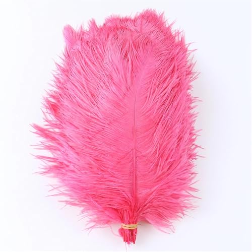 BDXMKS Straußenfeder Straußenfedern for Hochzeitsdekoration, Bastelzubehör, DIY-Traumfänger, 15–55 cm, Federdekor, 10 Stück(02 Watermelon red,50-55cm 20-22inch) von BDXMKS