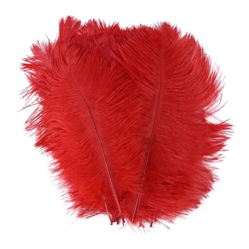 BDXMKS Straußenfeder Straußenfedern for Hochzeitsdekoration, Bastelzubehör, DIY-Traumfänger, 15–55 cm, Federdekor, 10 Stück(03 Red,25-30cm 10-12inch) von BDXMKS