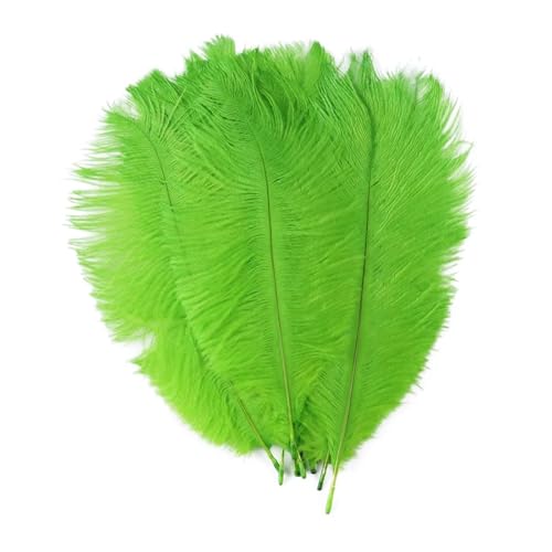 BDXMKS Straußenfeder Straußenfedern for Hochzeitsdekoration, Bastelzubehör, DIY-Traumfänger, 15–55 cm, Federdekor, 10 Stück(10 Green,45-50cm 18-20inch) von BDXMKS