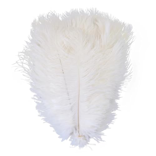 BDXMKS Straußenfeder Straußenfedern for Hochzeitsdekoration, Bastelzubehör, DIY-Traumfänger, 15–55 cm, Federdekor, 10 Stück(12 White,25-30cm 10-12inch) von BDXMKS