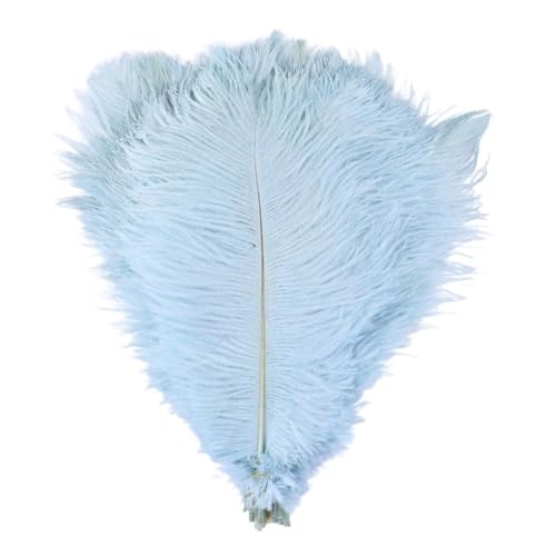 BDXMKS Straußenfeder Straußenfedern for Hochzeitsdekoration, Bastelzubehör, DIY-Traumfänger, 15–55 cm, Federdekor, 10 Stück(27 Light Blue,45-50cm 18-20inch) von BDXMKS