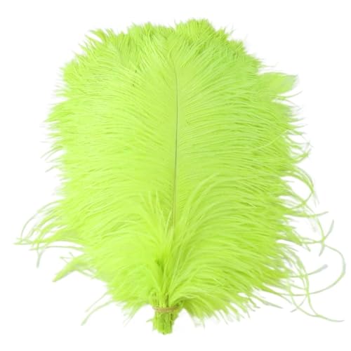 BDXMKS Straußenfeder Straußenfedern for Hochzeitsdekoration, Bastelzubehör, DIY-Traumfänger, 15–55 cm, Federdekor, 10 Stück(55 Fluorescent Green,45-50cm 18-20inch) von BDXMKS