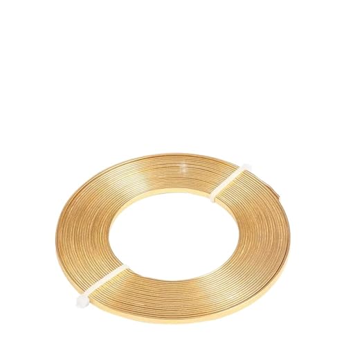 Basteldraht 32 Fuß, 2 Rollen, 3,0 mm breit, flacher Schmuckdraht, 18 Gauge Aluminiumdraht for Lünetten, Bildhauerei, Armaturen, Schmuckherstellung(AECH-03227) von BDXMKS