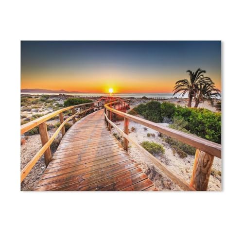 BEAYODKP DIY Malen nach Zahlen,Playa de Arenales del Sol, Alicante, Spanien,diy malen nach zahlen erwachsene landsch Mit Pinsel und Acrylfarbe Erwachsenenfarbe nach Zahlen Kits Kunst（50x60cm）-694 von BEAYODKP