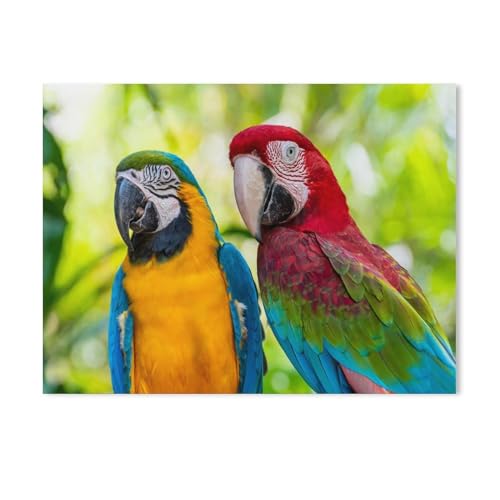 BEAYODKP DIY Malen nach Zahlen-Ölgemälde Geschenk für Erwachsene Kinder,Bunte Vögel: Papagei, Aras,Malen Nach Zahlen Kits Wohnzimmer Schlafzimmer Wanddekoration（40x50cm） 15.7x19.6 Zoll-285 von BEAYODKP