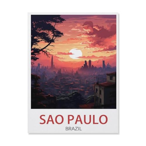 BEAYODKP DIY Malen nach Zahlen-Ölgemälde Geschenk für Erwachsene Kinder，São Paulo Brasilien, Nacht，Malen Nach Zahlen Kits Wohnzimmer Schlafzimmer Wanddekoration（50x60cm）-R25 von BEAYODKP