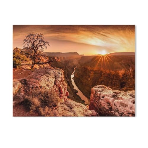 BEAYODKP DIY Malen nach Zahlen-Ölgemälde Geschenk für Erwachsene Kinder,Spektakulärer Sonnenaufgang am Grand Canyon, USA,Malen Nach Zahlen Kits Wohnzimmer Schlafzimmer Wanddekoration（50x60cm）-605 von BEAYODKP