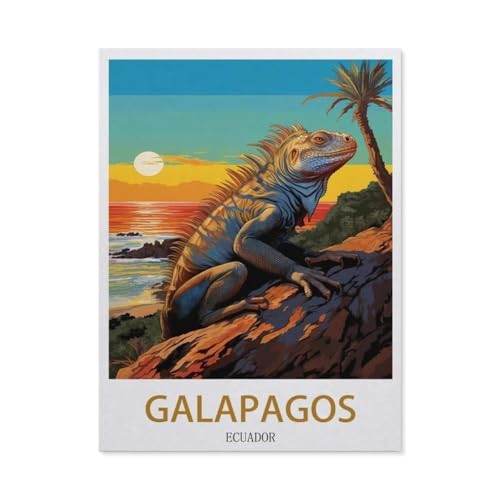 BEAYODKP Malen nach Zahlen，Galápagos, Ecuador，diy malen nach zahlen erwachsene landsch Mit Pinsel und Acrylfarbe Kits Theme Digital Home Wall Artwork（50x60cm） 19.6x23.6 Zoll-EK69 von BEAYODKP
