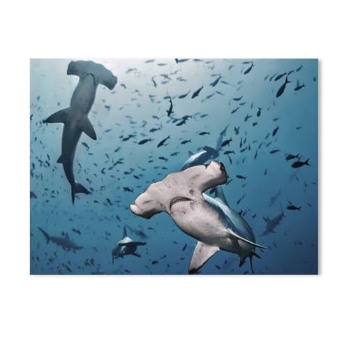BEAYODKP Malen nach Zahlen,Haie, Raubtiere, Fische & Wassertiere,diy malen nach zahlen erwachsene landsch Mit Pinsel und Acrylfarbe Kits Theme Digital Home Wall Artwork（20x30cm） 7.8x11.8 Zoll-326 von BEAYODKP