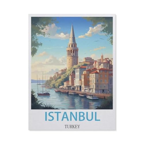 BEAYODKP Malen nach Zahlen，Istanbul, Türkei，diy malen nach zahlen erwachsene landsch Mit Pinsel und Acrylfarbe Kits Theme Digital Home Wall Artwork（40x50cm） 15.7x19.6 pouces-DJ29 von BEAYODKP