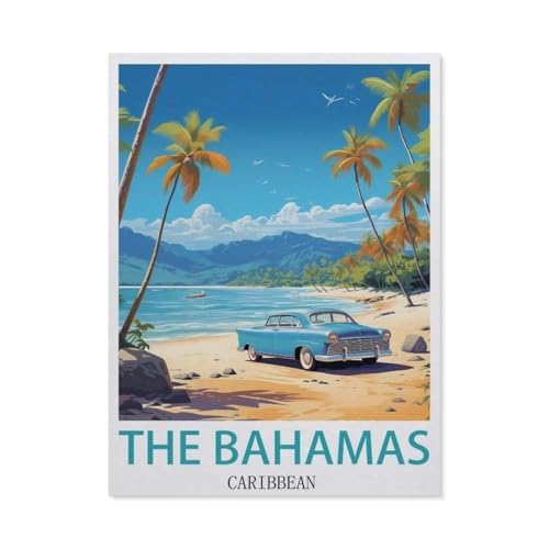 BEAYODKP Malen nach Zahlen，The Bahamas Karibik，diy malen nach zahlen erwachsene landsch Mit Pinsel und Acrylfarbe Kits Theme Digital Home Wall Artwork（30x40cm） 11.8x15.7 Zoll-EY50 von BEAYODKP