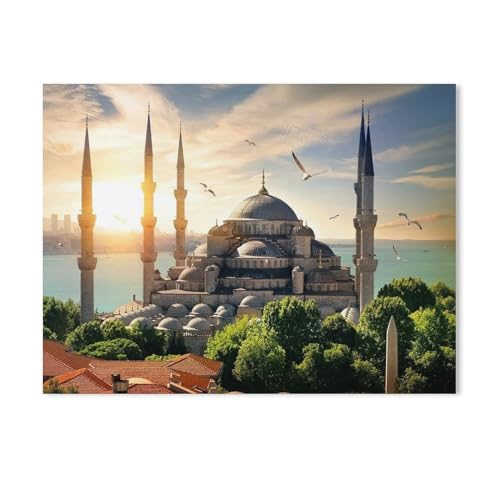 BEAYODKP Möwen über der Blauen Moschee und dem Bosporus in Istanbul,nach Zahlen für Erwachsene, DIY-Malen-nach-Zahlen-Kits für Kinder, Anfänger, Rahmenlose Leinwand（50x60cm） 19.6x23.6 Zoll-498 von BEAYODKP