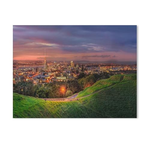 DIY Malen nach Zahlen,Mount Eden und Auckland, Neuseeland,diy malen nach zahlen erwachsene landsch Mit Pinsel und Acrylfarbe Erwachsenenfarbe nach Zahlen Kits Kunst（30x40cm）11.8x15.7 Zoll-494 von BEAYODKP
