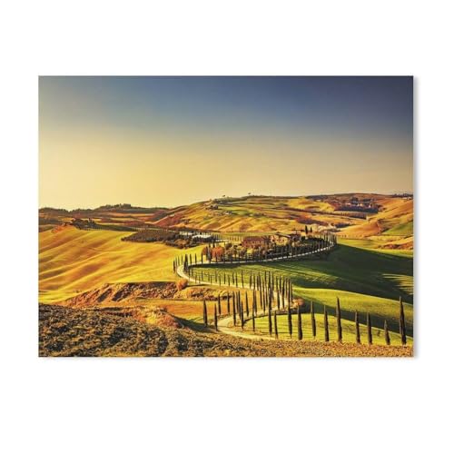 Malen Nach Zahlen Erwachsene,Sonnenuntergang über der Toskana mit Zypressen, Italien,DIY Handgemalt Ölgemälde Kit für Anfänger und Erwachsene,kreatives Geschenk, Home Deko（50x60cm）19.6x23.6 Zoll-821 von BEAYODKP
