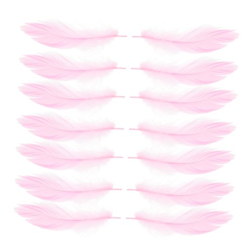 BEBEMOKO 100 Stück Hilfsmaterial Kronleuchter Lichtfarbe Deckenanhänger Lampenschirm Foto Dekoration Dekorative Decke Narzissen Vase Pflaume Dekoration Gänseente Rosa BEBEMOKO 100 Stück Hilfsmaterial Kronleuchter Lichtfarbe Deckenanhänger Lampenschirm Foto Dekoration Dekorative Decke Narzissen Vase Pflaume Dekoration Gänseente Rosa von BEBEMOKO
