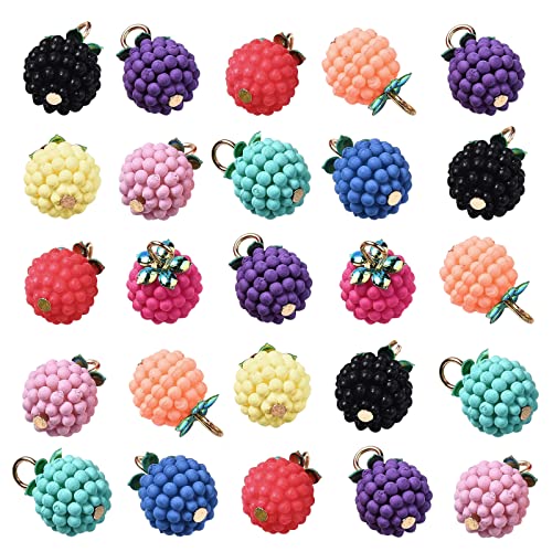 BEEFLYING 100pcs Mini Fruit Charms Anhänger ABS Kunststoff Bayberry Bead Hängender Ball Berry Charm Für Frauen Ohrring Armband Halskette Schmuckherstellung von BEEFLYING