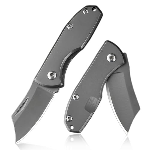 BEFUNC Mini Taschenmesser Klappmesser Klein, Schlüsselanhänger Messer, Edelstahl Outdoor Messer, EDC Zweihand Klappmesser, Geschenk für Männer Frauen BEFUNC Mini Taschenmesser Klappmesser Klein, Schlüsselanhänger Messer, Edelstahl Outdoor Messer, EDC Zweihand Klappmesser, Geschenk für Männer Frauen von BEFUNC