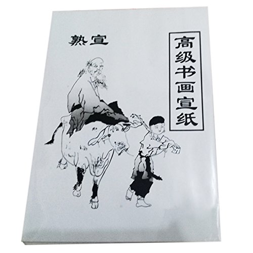 BEIEM 30 Blatt Weißes Malpapier Papier Reispapier Chinesische Malerei Und Kalligraphie 36cm X 25cm von BEIEM