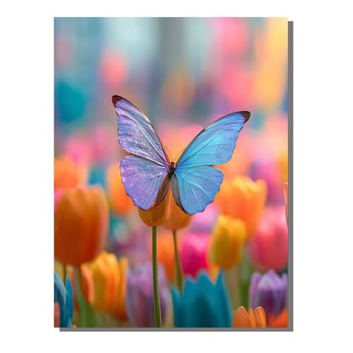 BEIJUYHU 5D DIY Diamond Painting Set Schmetterling Diamant Painting Kinder, Blume Full Drill Bastelset für Erwachsene, Diamant Kunst Bilder Mosaic Stickerei für Home Wand Dekor 30x40 cm BJHF476 BEIJUYHU 5D DIY Diamond Painting Set Schmetterling Diamant Painting Kinder, Blume Full Drill Bastelset für Erwachsene, Diamant Kunst Bilder Mosaic Stickerei für Home Wand Dekor 30x40 cm BJHF476 von BEIJUYHU