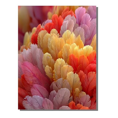 BEIJUYHU Abstrakt 5D Diamond Painting Erwachsene Feder Full Drill Diamant Painting Kinder Bilder, DIY Mosaic Bastelset für Erwachsene, Diamant Malerei Stickerei Groß für Home Decor 40x50cm BJHF209 BEIJUYHU Abstrakt 5D Diamond Painting Erwachsene Feder Full Drill Diamant Painting Kinder Bilder, DIY Mosaic Bastelset für Erwachsene, Diamant Malerei Stickerei Groß für Home Decor 40x50cm BJHF209 von BEIJUYHU