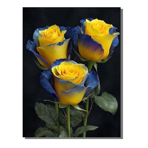 BEIJUYHU Diamond Painting Kinder Rose 5D Diamond Painting Blume Bilder DIY Full drill Crystal Strass Stickerei Mosaic Diamant Malerei Bastelset Geeignet Geschenk und Wanddeko 50 x 70 cm BJHF414 BEIJUYHU Diamond Painting Kinder Rose 5D Diamond Painting Blume Bilder DIY Full drill Crystal Strass Stickerei Mosaic Diamant Malerei Bastelset Geeignet Geschenk und Wanddeko 50 x 70 cm BJHF414 von BEIJUYHU