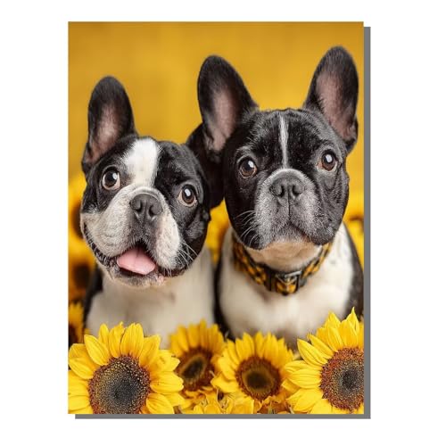 BEIJUYHU Diamond Painting Kinder Tier 5D Diamond Painting Hund Bilder DIY Full drill Crystal Strass Stickerei Mosaic Diamant Malerei Bastelset Geeignet Geschenk und Wanddeko 50 x 70 cm BJHF384 BEIJUYHU Diamond Painting Kinder Tier 5D Diamond Painting Hund Bilder DIY Full drill Crystal Strass Stickerei Mosaic Diamant Malerei Bastelset Geeignet Geschenk und Wanddeko 50 x 70 cm BJHF384 von BEIJUYHU
